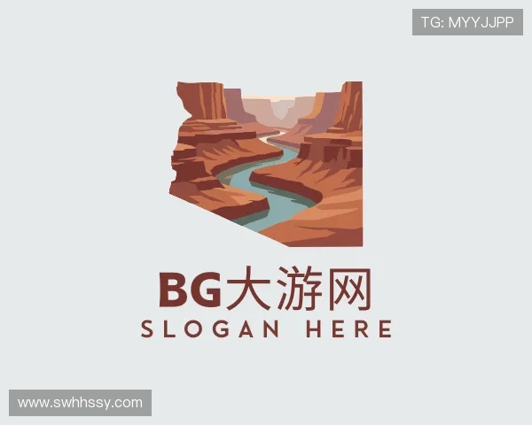 了解bg大游网
